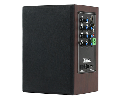 IP网络广播监听音箱  EAW-6508A