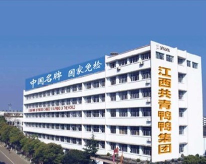 江西共青城新鸭鸭集团